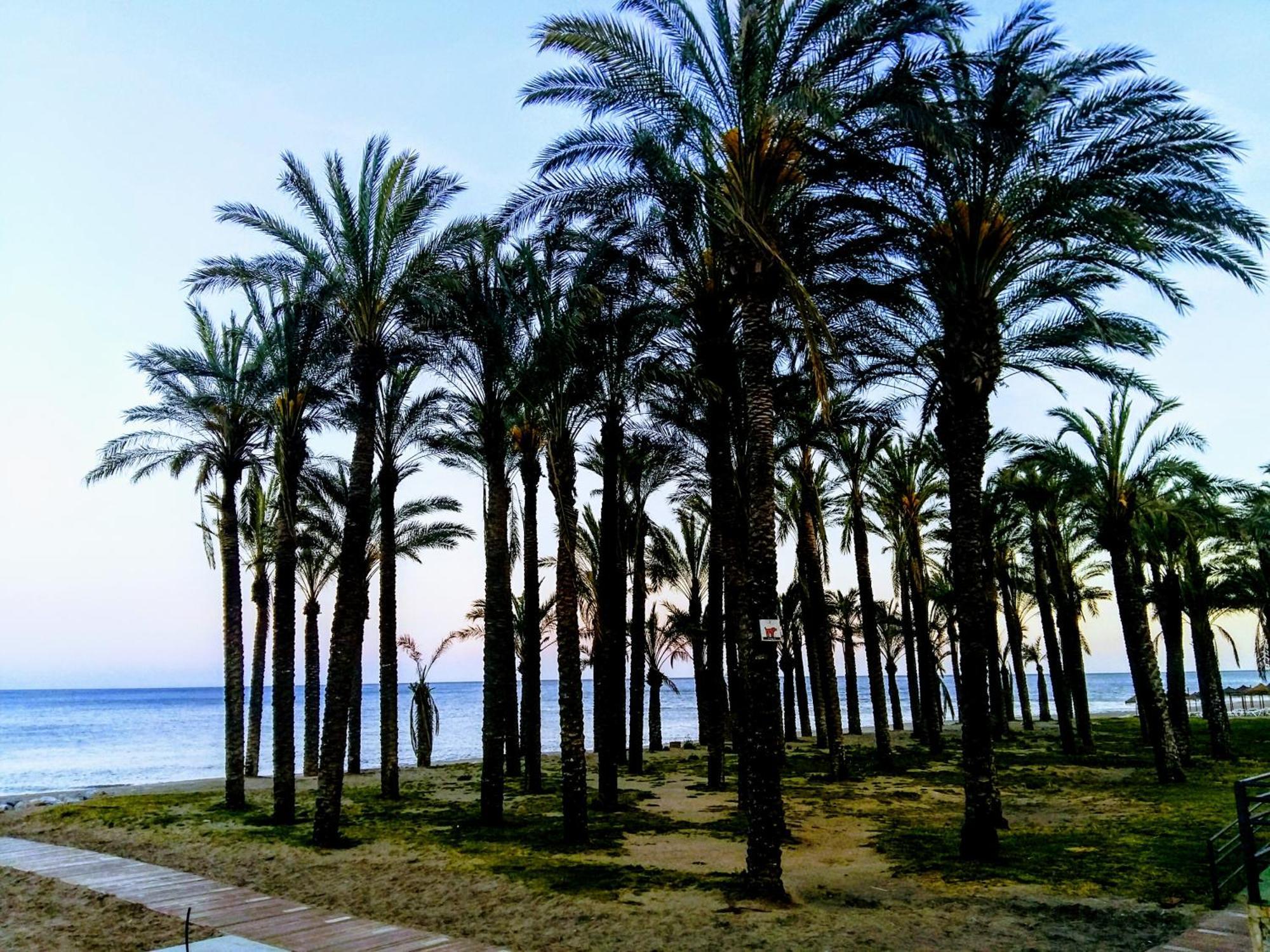 Castillo De Santa Clara 05 Torremolinos Dış mekan fotoğraf